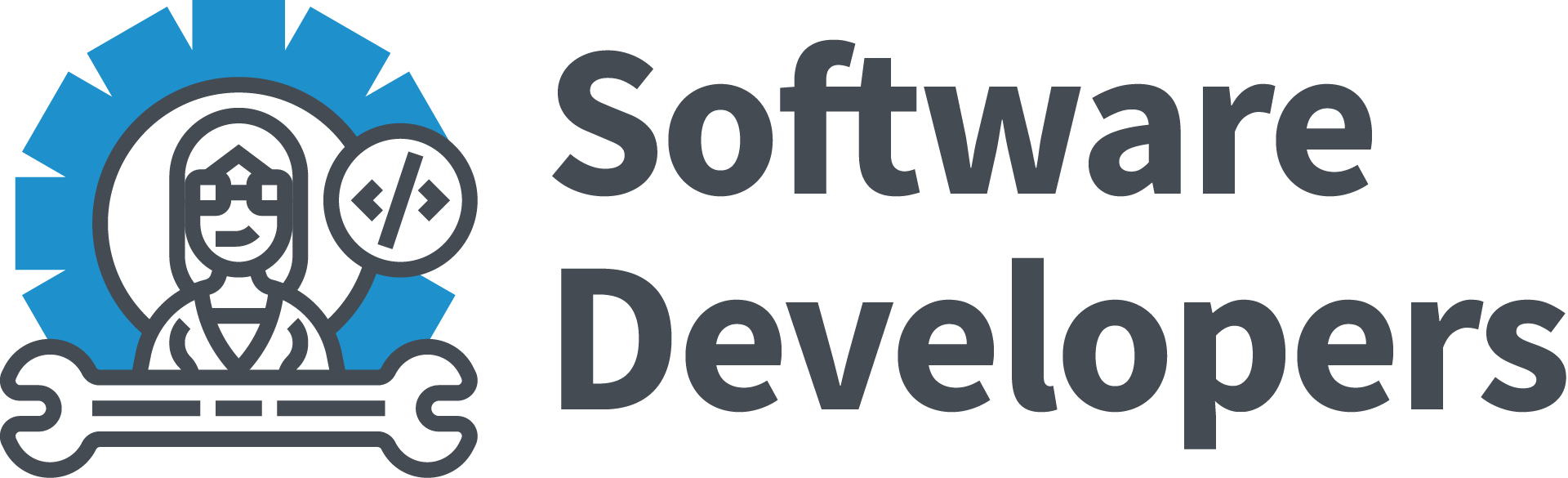 Software developer